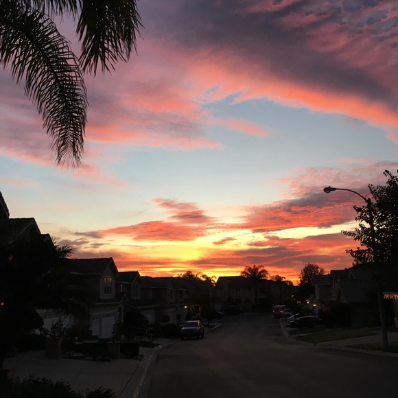 Meet your Posher, Chloe - Picture 1 of 1